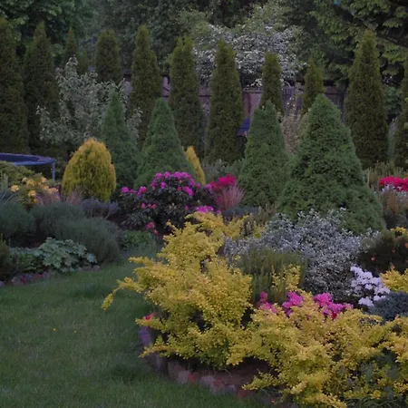 住宿加早餐酒店 Koral