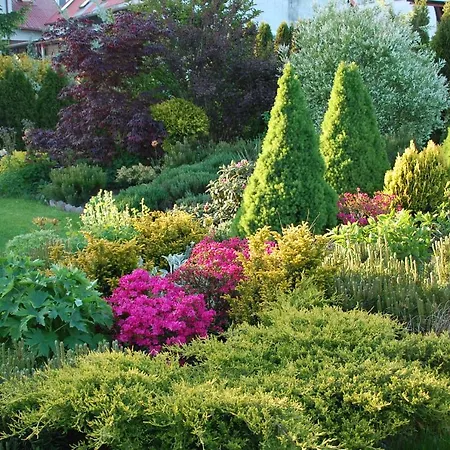 住宿加早餐酒店 Koral 科沙林