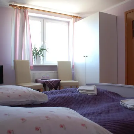 住宿加早餐酒店 Koral