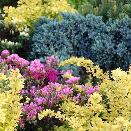 Koral 住宿加早餐酒店 3*