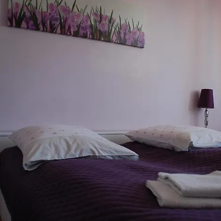 住宿加早餐酒店 Koral 3*