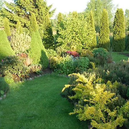 Koral 住宿加早餐酒店