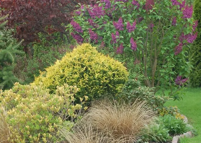 Koral Кошалин