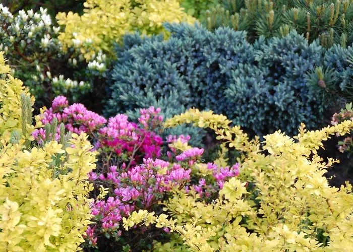 Koral Отель типа 